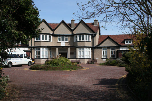 Care Arrangement: Nursing Homes