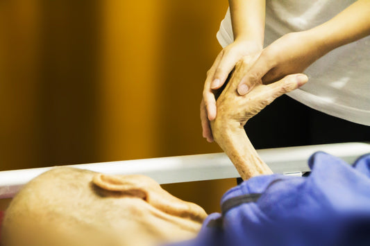 Care Arrangement: Hospice Care